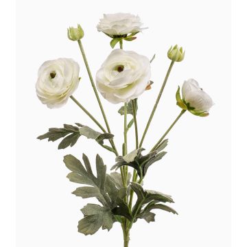 HIBBA decorative ranunculus branch, cream, 65 cm, Ø 5–7 cm HIBBA decorative ranunculus branch, cream, 65 cm, Ø 5–7 cm