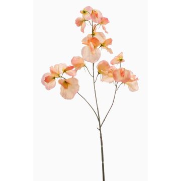 Decorative artificial sweet pea flower KANZI, peach, 75cm, Ø4–7cm Decorative artificial sweet pea flower KANZI, peach, 75cm, Ø4–7cm