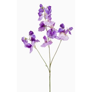 KANZI decorative artificial sweet pea, purple, 75cm, Ø4–7cm