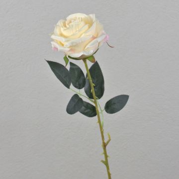 ELEAZAR artificial rose, cream, 65cm, Ø9cm