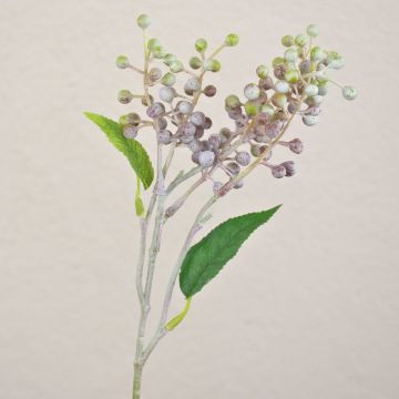 TEITH decorative elderberry branch with berries, brown-green, 40cm TEITH decorative elderberry branch with berries, brown-green, 40cm