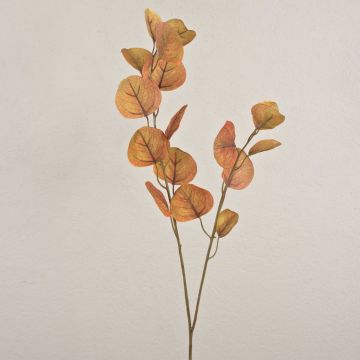 Artificial eucalyptus branch SOPONG, brown, 80 cm