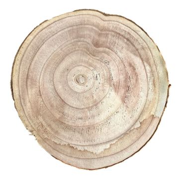 Paulownia tree disc JESSALYN, natural, Ø15"-16"/38-40cm