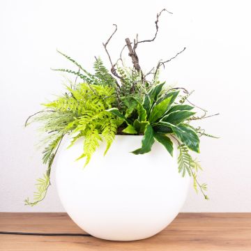 Customised plant arrangement - customer request from Jörg Customised plant arrangement - customer request from Jörg