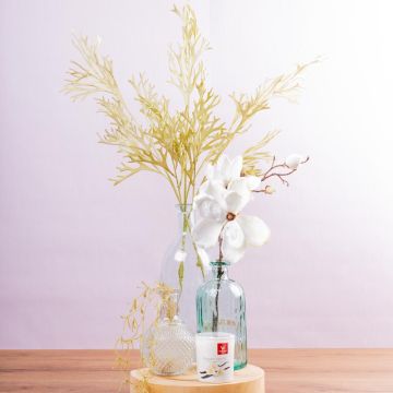 Blossom Bliss Spa