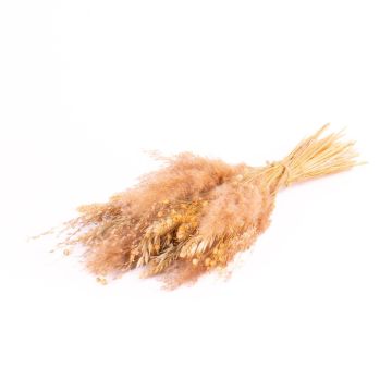 Dried bunch EISTLA, natural, 20"/50cm, Ø9"/23cm