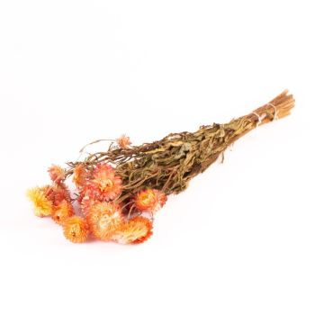 Dried bouquet of Italian strawflowers ALMINKA, yellow-orange, 20"-24"/50-60cm, Ø6"/15cm