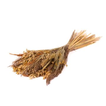 Dried bouquet FALADA, natural, 26"/65cm, Ø8"/20cm