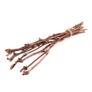 Grapevine branches RAGGA in a bunch, 10 pieces, natural, 24"/60cm