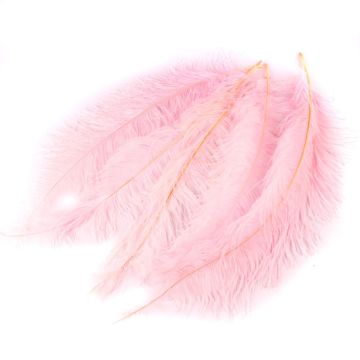 Decorative ostrich feathers PIPPIN, 5 pieces, pale pink, 22"-28"/55-70cm