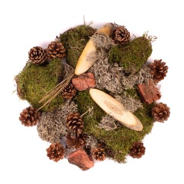 Natural scatter decoration QUIKISA made of moss, cones, wood, lichen, green-brown, 500g