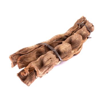 Dried liana pieces bundle Cipo Escada NALLESTE, 5 pieces, natural, 24"/60cm