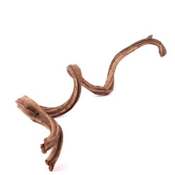 Liana Cipo Rosca - dried TANGUN, natural, 3ft-4ft/100-120cm Liana Cipo Rosca - dried TANGUN, natural, 3ft-4ft/100-120cm