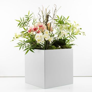 Individual orchid arrangement – a customer request from Isabella Individual orchid arrangement – a customer request from Isabella