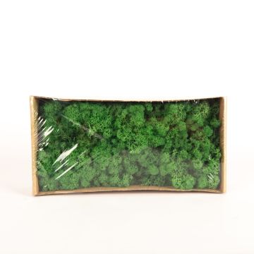 Icelandic natural moss SVEINBJÖRN, signal green, 500g