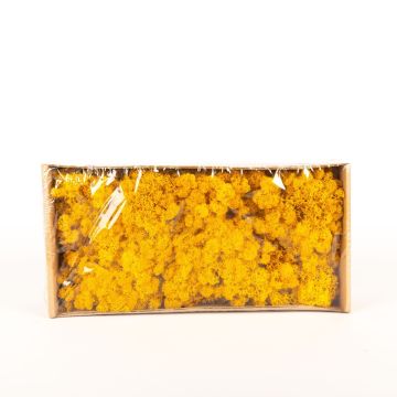 Icelandic natural moss SVEINBJÖRN, ochre yellow, 500g
