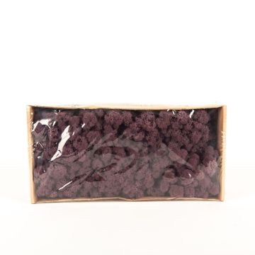 Icelandic natural moss SVEINBJÖRN, aubergine, 500g