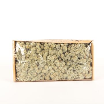 Icelandic natural moss SVEINBJÖRN, grey, 500g