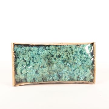 Icelandic natural moss SVEINBJÖRN, turquoise blue, 500g