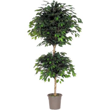 Artificial weeping fig with 2 balls LARENATA, real stem, green, 5ft/150cm - Made in Italy Artificial weeping fig with 2 balls LARENATA, real stem, green, 5ft/150cm - Made in Italy