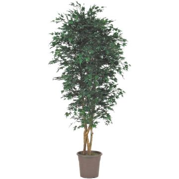 False Japanese maple tree KESCHA, natural stems, green, 6ft/175cm - Made in Italy