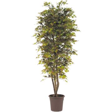 False Japanese maple tree KESCHA, natural stems, green-red, 5ft/150cm - Made in Italy False Japanese maple tree KESCHA, natural stems, green-red, 5ft/150cm - Made in Italy