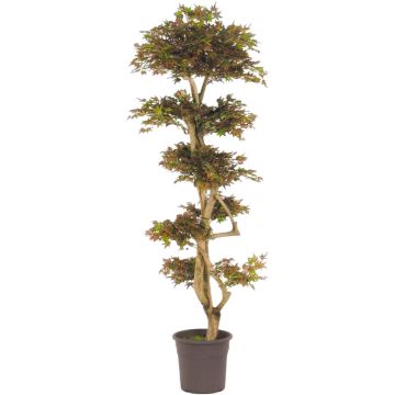 Artificial Japanese maple tree SLAWIK, real stem, green-red, 6ft/185cm - Made in Italy