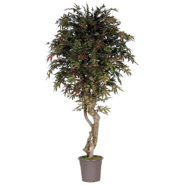 False Japanese maple KYRYLO, real stem, green-red, 6ft/175cm - Made in Italy