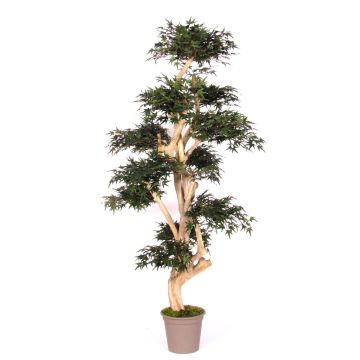 Artificial Japanese maple tree SLAWIK, real stem, green, 5ft/150cm - Made in Italy Artificial Japanese maple tree SLAWIK, real stem, green, 5ft/150cm - Made in Italy