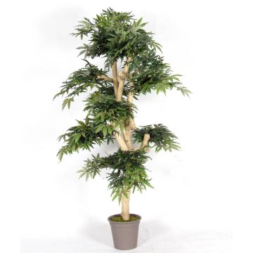 False Japanese maple ANTIP, real stem, green-red, 5ft/150cm - Made in Italy False Japanese maple ANTIP, real stem, green-red, 5ft/150cm - Made in Italy