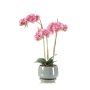 Decorative Phalaenopsis orchid JOLANA in a ceramic pot, pink, 18"/45cm