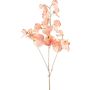 Artificial lathyrus latifolius branch SLIRKEN, apricot, 30"/75cm