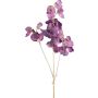 Artificial lathyrus latifolius branch SLIRKEN, dark purple, 30"/75cm