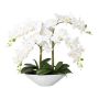 False Phalaenopsis orchid KENTOL, ceramic bowl, roots, white, 22"/55cm