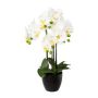 Decorative Phalaenopsis orchid UKERNA in resin planter, white, 22"/55cm