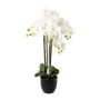 Decorative Phalaenopsis orchid UKERNA in resin planter, white, 33"/85cm