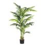 Decorative palm Kentia TIBERI, 5ft/160cm