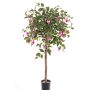 Decorative tree fuchsia MINERVA, natural trunk, flowering, pink, 3ft/90cm