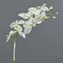 Artificial Phalaenopsis Orchid NALANI, snow, white, 31"/80cm