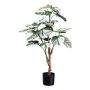Decorative Philodendron Monstera Deliciosa Variegata PILTA, green-white, 31"/80cm