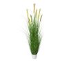 Decorative grass Pampas grass FONZA in decorative pot, panicles, brown-yellow, 6ft/180cm