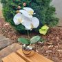 Decorative flower Orchid Phalaenopsis NAPIRAI with planter, white, 12"/30cm