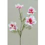 Artificial flower branch Cosmos PRESTIOSA, white-pink, 30"/75cm