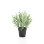 Artificial rosemary WHOOPI in decorative pot, green, 10"/25cm