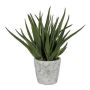 Artificial succulent Aloe Vera BRIZE in cement pot, green, 18"/45cm