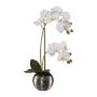 False Phalaenopsis orchid ZARFU, silvery decorative pot, roots, white, 16"/40cm
