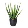 Decorative succulent Aloe Vera KRONFA in decorative pot, green, 18"/45cm