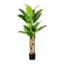 Decorative palm Banana plant FABIEN, 5ft/150cm