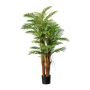 Decorative palm tree Areca IRENEA, 5ft/160cm