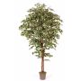 Artificial tree Ficus Benjamina LINETTE, natural stems, green-white, 4ft/125cm - Made in Italy